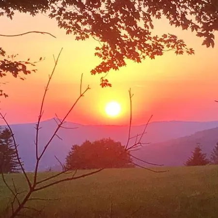 Hébergement de vacances Maison Avec Jardin L'autour Gérardmer