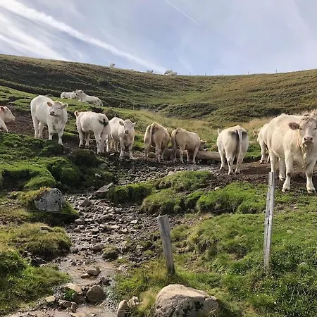 Maison Avec Jardin L'autour * Gérardmer