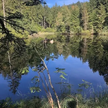 Maison Avec Jardin L'autour