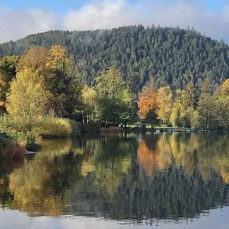 Maison Avec Jardin L'autour * Gerardmer
