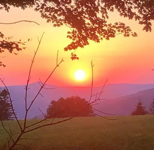 Holiday home Maison Avec Jardin L'autour Gerardmer