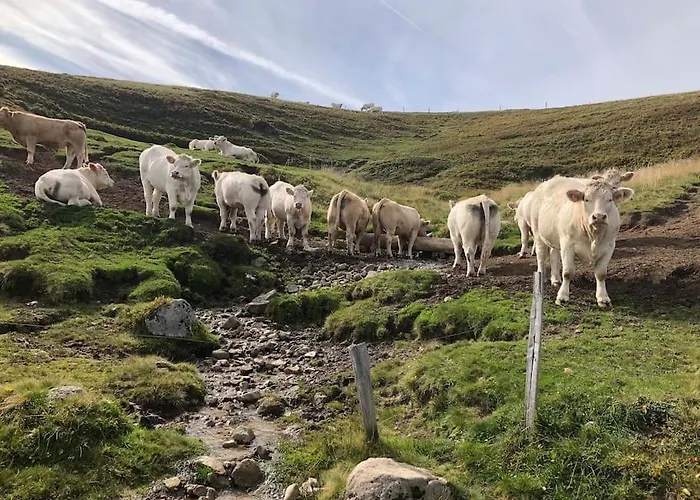 Maison Avec Jardin L'autour * Gerardmer