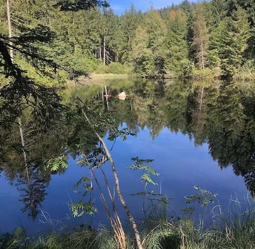 Maison Avec Jardin L'autour