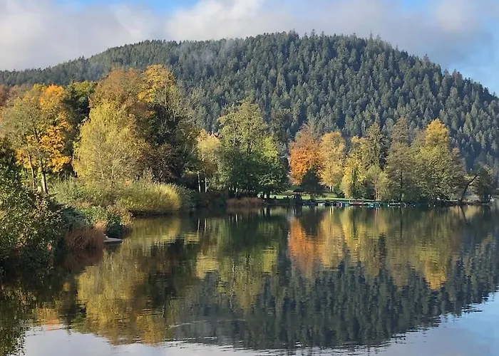 Maison Avec Jardin L'autour * Gerardmer